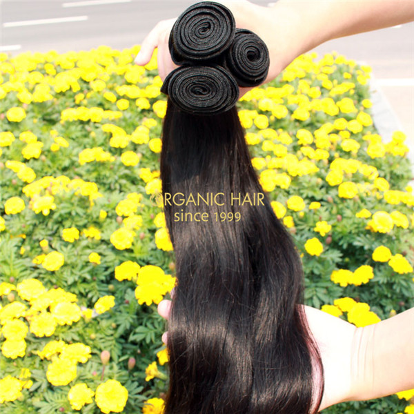 Best human hair extensions vendors wholesale